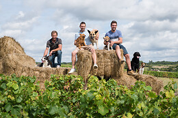 Domaine Villemaine