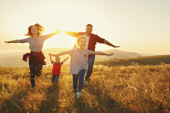 Découvertes en famille