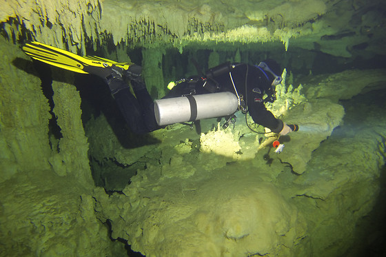 Tauchschule Crazy-Divers - photo 1