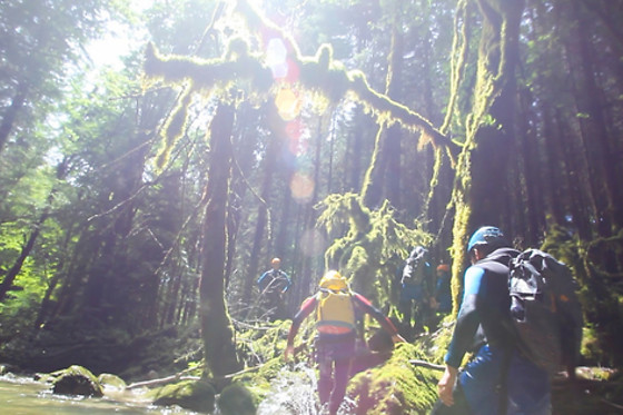 Noa guides - photo 3