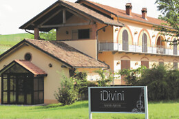 iDivini