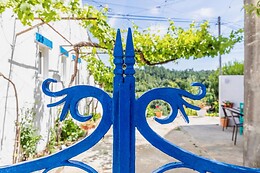 LAMEIRA DA LONGRA