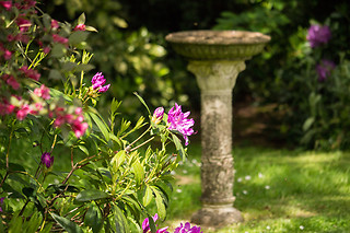 Séjour pour 2 à Arts in the Garden à Morigny (50)