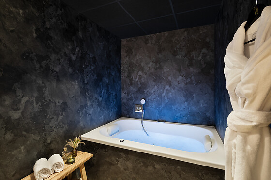 Hôtel & Spa Le Maury - photo 18