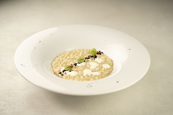 Tierra Milano - photo 6