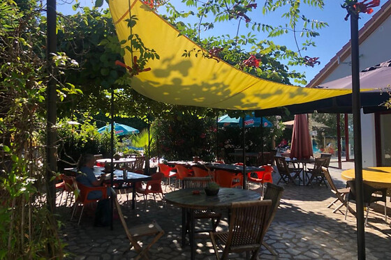 QUINTA DAS CEGONHAS - photo 6