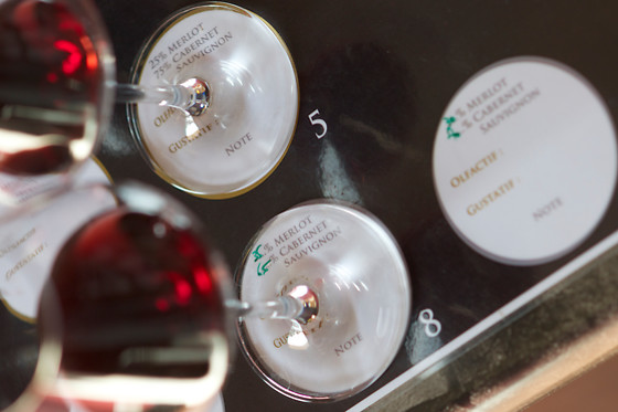B-Winemaker - Château Pape Clément - photo 2