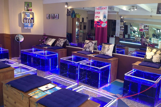 Instant Fish Spa - photo 5