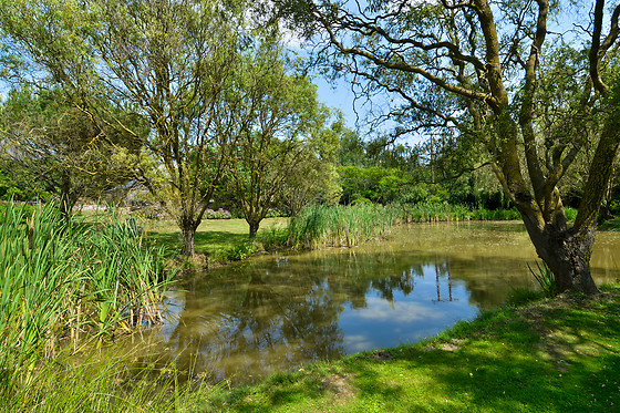 Les Hauts de Breges - photo 16