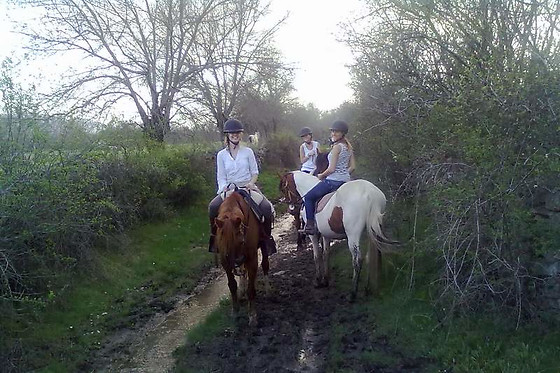 AGUAS TRANQUILAS - photo 5