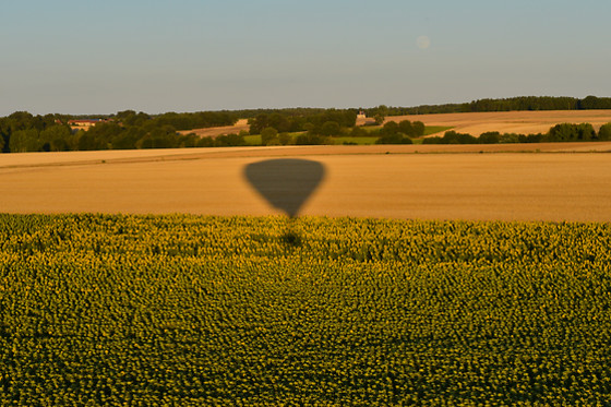 Art Montgolfières - photo 17