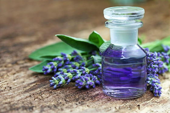 Harmonie Bio'té - photo 17