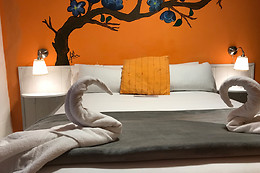 PENSION ÚBEDA - RIOJA RENTABIKE