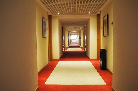 HOTEL VEGAS ALTAS - photo 13