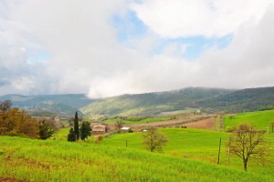 Agriturismo I Trocchi - photo 4