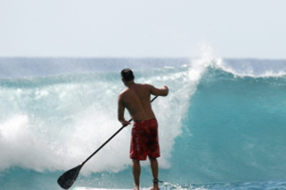 Wave School - photo 26