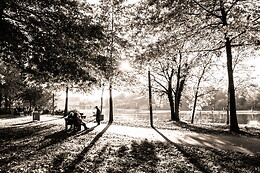 Virgile Photo Passion