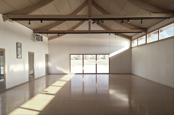 Swiss Dojo - photo 1