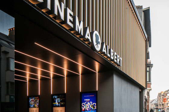 Cinema Albert - photo 3