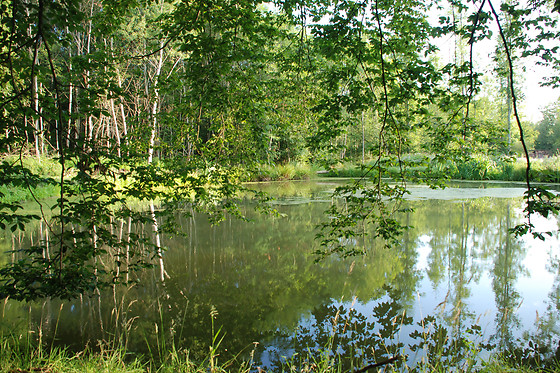 Domaine des Tinarages - photo 3