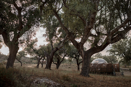 FINCA EL CORTIÑAL - photo 6