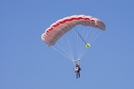 Paradrenalin' - photo 1