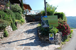 La Petite Cour Verte