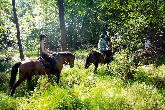 Centre Equestre La Champagne - photo 1