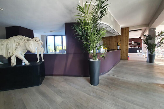 Hotel Cavalieri - photo 4