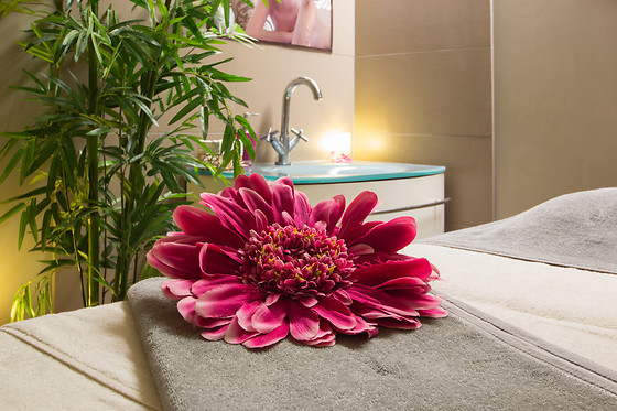 Holiday Inn Mulhouse - photo 4