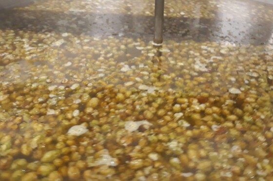 Brasserie des Trévires - photo 1