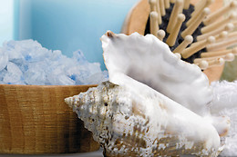 Ambiance marine