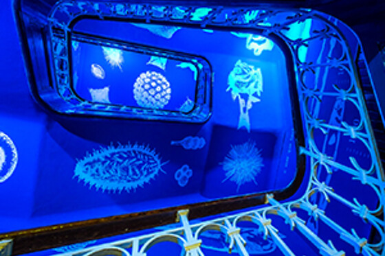 Marinha - photo 6