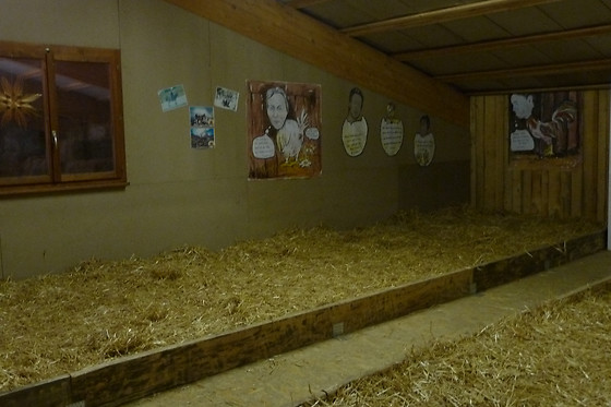 Zucht- und Reitstall Gentinetta - photo 13