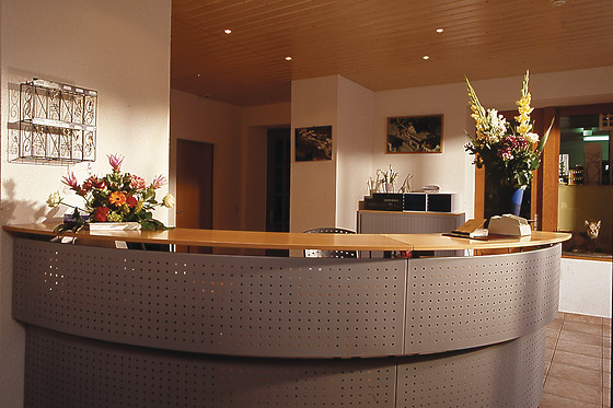 Hôtel du Pigne - photo 7