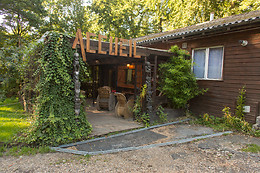 Woody park