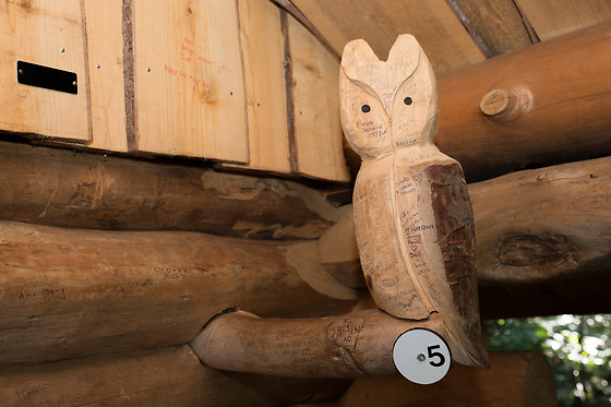 La Ferme Aventure - photo 7
