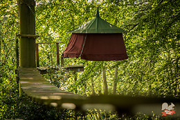 Woody park