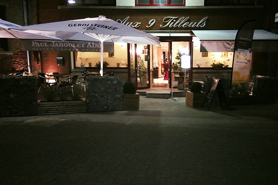 Restaurant Aux 9 Tilleuls - photo 15
