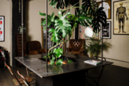 BIGORNA PARLOUR