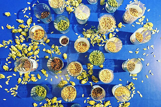 Een workshop bierbrouwen en maaltijd bij Beerstorming (Sint-Gillis - Brussel)