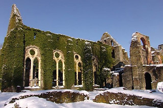 Visite de brasserie et dégustation pour 2 à la Brasserie des Hostieux Moines de l'Abbaye de Villers-la-Ville (Brabant wallon)