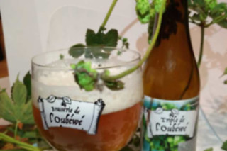 Bières, planche de dégustation et explications pour 2 à la Brasserie de l'Oubéwé à Tubize (Brabant wallon)