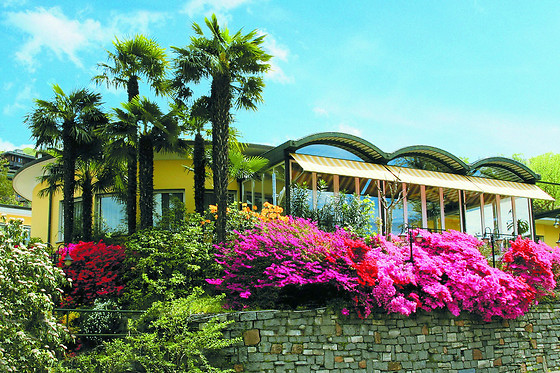 Hotel Vezia - photo 7