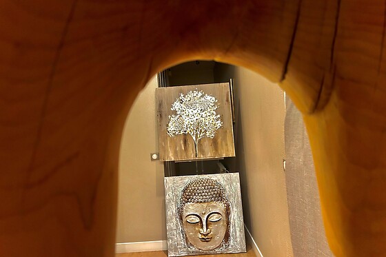 Cataline de Korody - photo 8