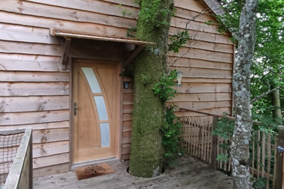 LA PAT DE L'OURS - photo 2