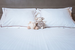 Red's Redaelli Hotel