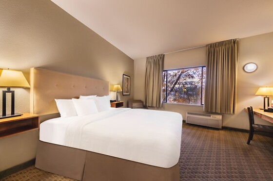 Online Booking EPS - photo 2