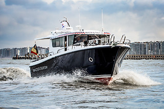 Zeehonden spotten voor 2 met Water-Taxi.be (Blankenberge - West-Vlaanderen)