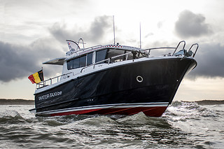 Zeehonden spotten voor 2 met Water-Taxi.be (Blankenberge - West-Vlaanderen)